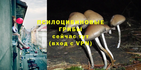 бошки Бронницы